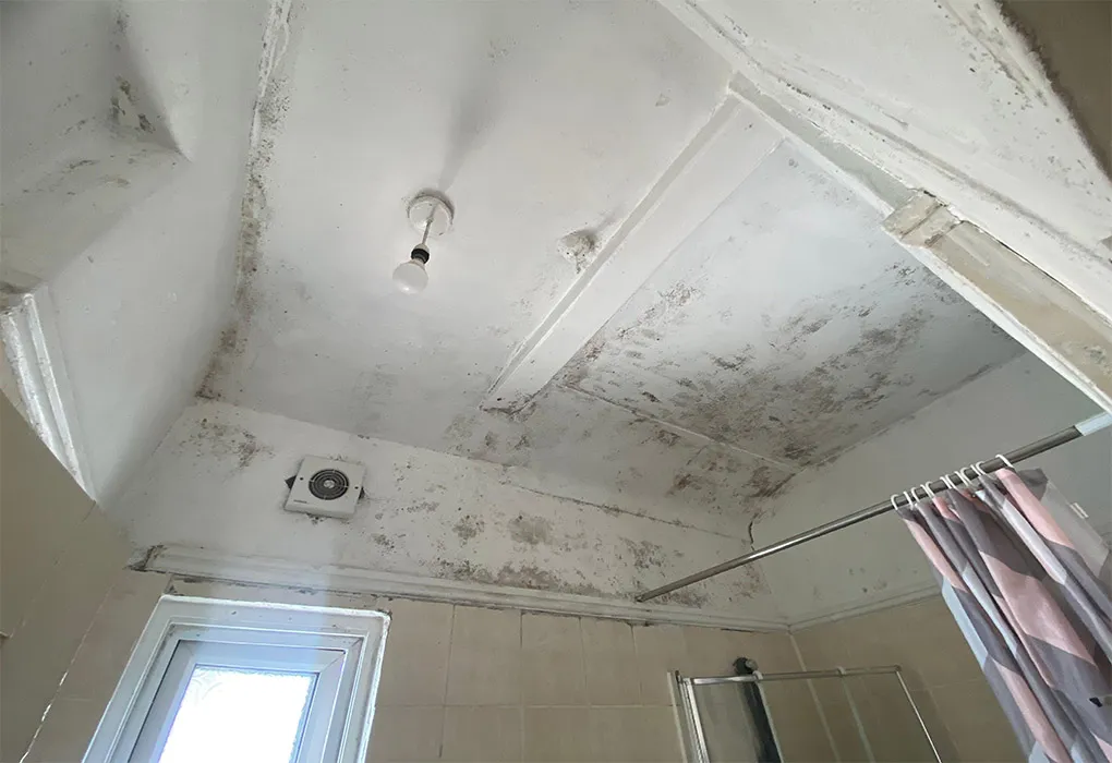 mu-services-condensation-control-l