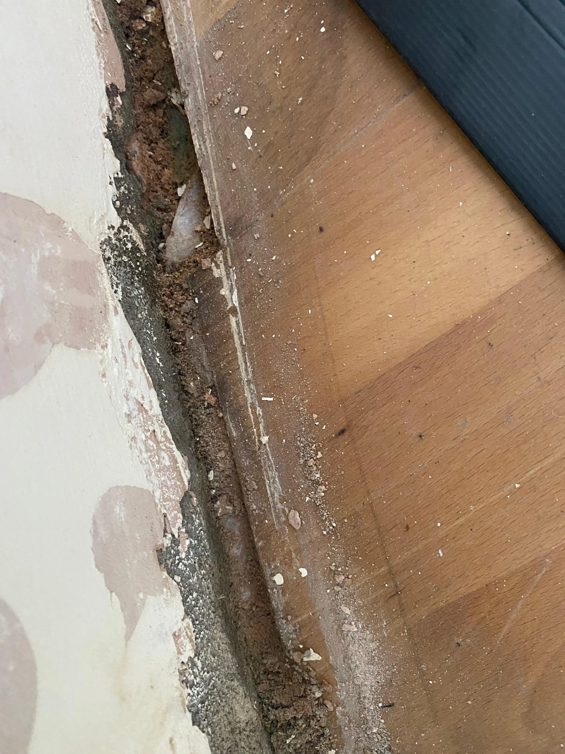 NKP Building Services Portfolio