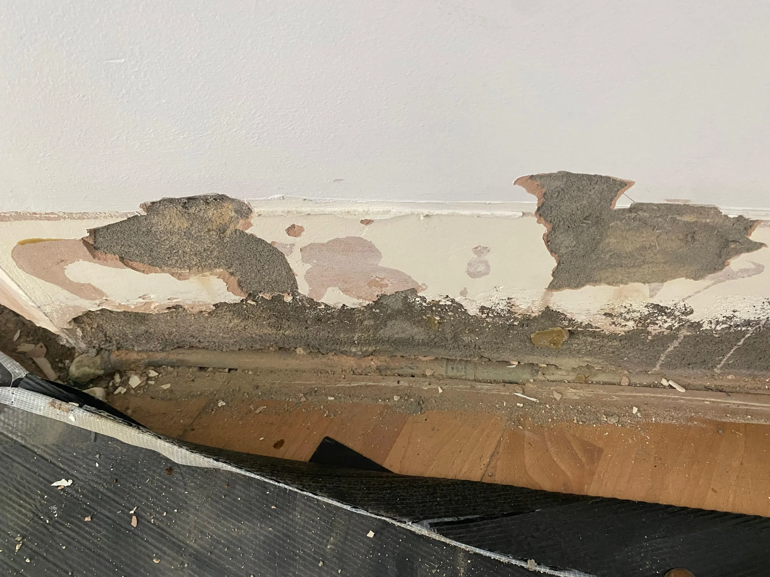 NKP Building Services Portfolio